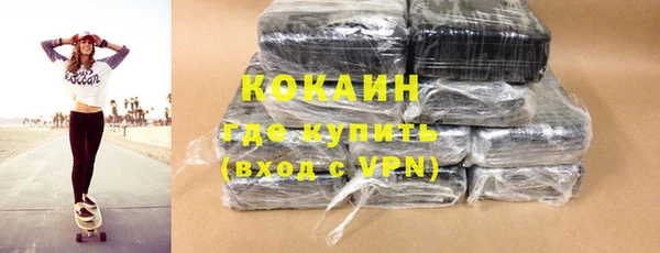 сатива Горняк