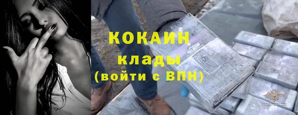 сатива Горняк