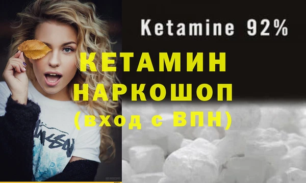 сатива Горняк