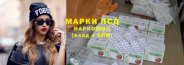сатива Горняк