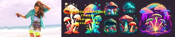 сатива Горняк