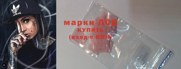 сатива Горняк