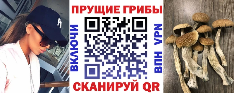 Купить где  Изобильный  Галлюциногенные грибы мухоморы 